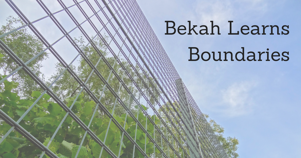 graphic displaying the title of the article