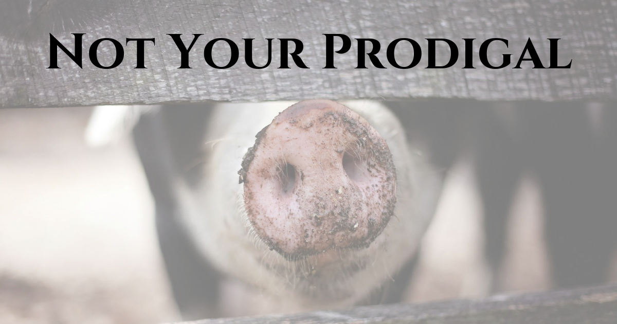 graphic displaying the title of the article